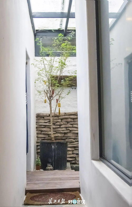 原木筑梦 一个专为室内木门窗安装而生的沉浸式体验家